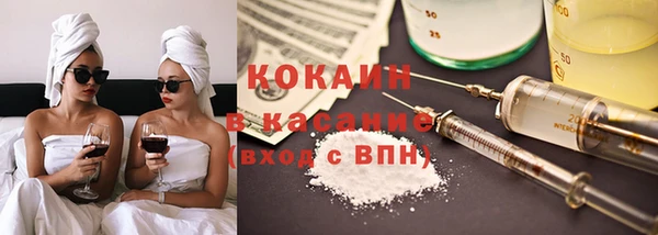 гашик Алексеевка