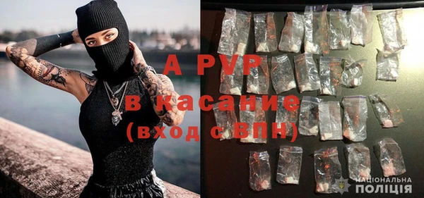 гашик Алексеевка