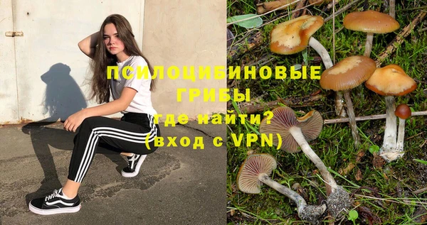 Альфа ПВП Алзамай